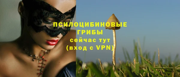 марки nbome Абаза