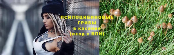 гидра Алексин