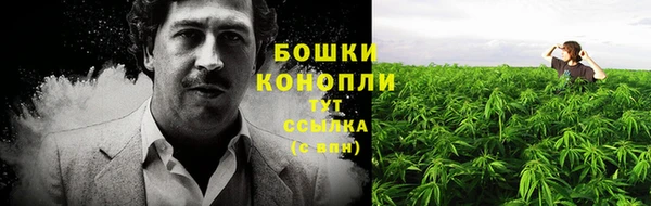 ГАЛЛЮЦИНОГЕННЫЕ ГРИБЫ Абинск