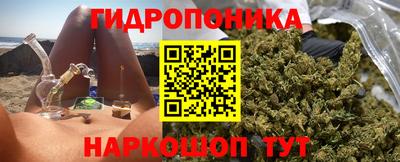 крисы Волжский